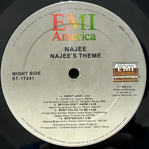 いいスタイル NAJEE / CHAMBER VINYL – THEME NAJEE'S 洋楽