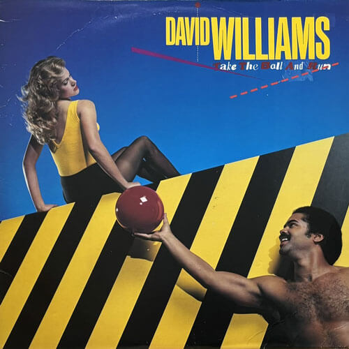 DAVID WILLIAMS / TAKE THE BALL AND RUN