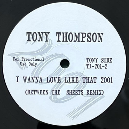 TONY THOMPSON/BILL WITHERS / I WANNA LOVE LIKE THAT 2001/JUST THE TWO OF US 2001