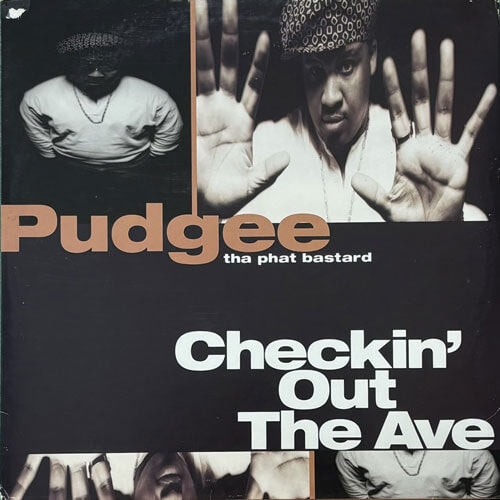 PUDGEE THA PHAT BASTARD / CHECKIN' OUT THE AVE.