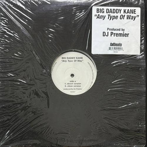 BIG DADDY KANE / ANY TYPE OF WAY