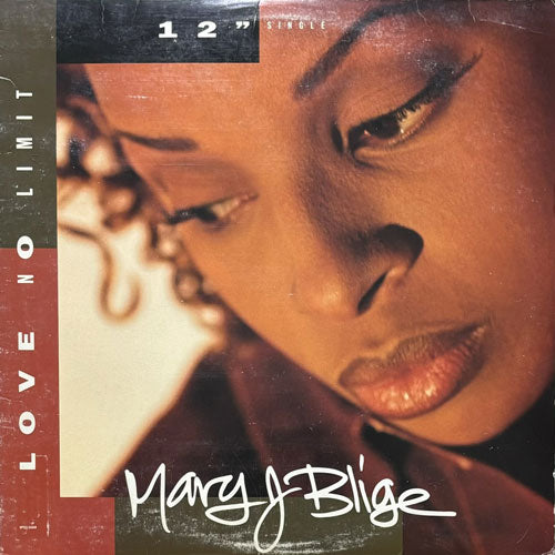 MARY J. BLIGE / LOVE NO LIMIT