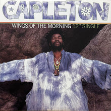 画像をギャラリービューアに読み込む, CAPLETON / WINGS OF THE MORNING
