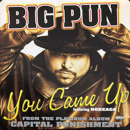 BIG PUNISHER / YOU CAME UP