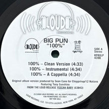 画像をギャラリービューアに読み込む, BIG PUN / 100%
