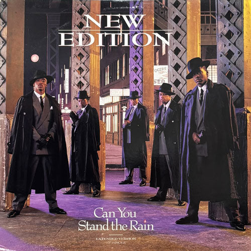 NEW EDITON / CAN YOU STAND THE RAIN/IF IT ISN'T LOVE