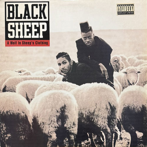 BLACK SHEEP / A WOLF IN SHEEP'S CLOTHING