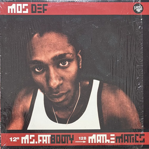 MOS DEF / MS. FAT BOOTY/MATHEMATICS