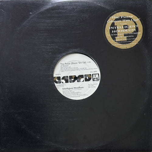 INTELLIGENT HOODLUM / THE POSSE (SHOOT 'EM UP)