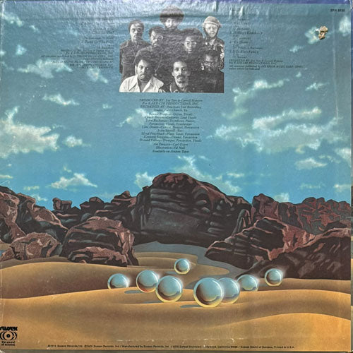 SOUL SEARCHERS / SALT OF THE EARTH – VINYL CHAMBER