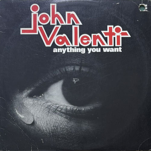 JOHN VALENTI / ANYTHING YOU WANT