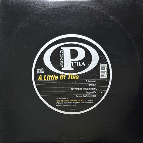 GRAND PUBA / A LITTLE OF THIS/I LIKE IT