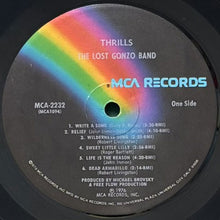 画像をギャラリービューアに読み込む, LOST GONZO BAND / THRILLS
