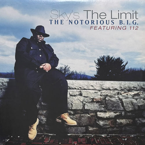 NOTORIOUS B.I.G. / SKY'S THE LIMIT/KICK IN THE DOOR/GOGIN BACK TO CALI