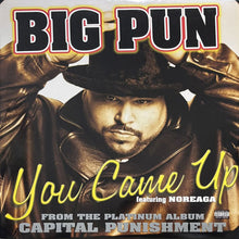 画像をギャラリービューアに読み込む, BIG PUNISHER / YOU CAME UP
