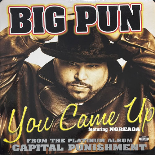 BIG PUNISHER / YOU CAME UP