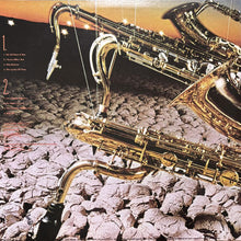 画像をギャラリービューアに読み込む, WILTON FELDER / WE ALL HAVE A STAR
