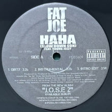 画像をギャラリービューアに読み込む, FAT JOE / (HA HA) SLOW DOWN/IF IT AIN&#39;T ABOUT MONEY/PUT YOU IN THE GAME/ALOHA
