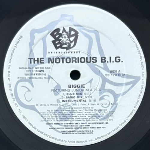 NOTORIOUS B.I.G. / BIGGIE/WOULD YOU DIE FOR ME