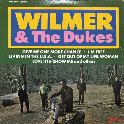 WILMER & THE DUKES / WILMER & THE DUKES