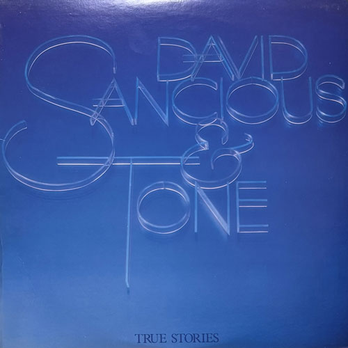 DAVID SANCIOUS & TONE / TRUE STORIES