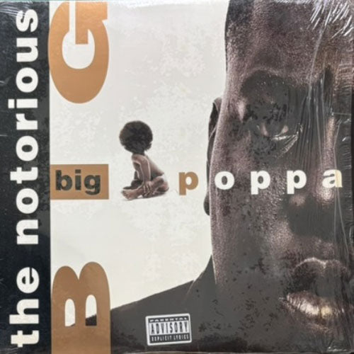 NOTORIOUS B.I.G. / BIG POPPA/WARNING