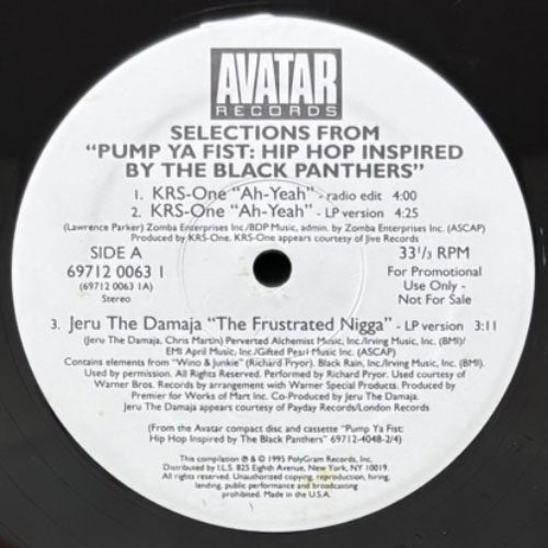 V.A. / SELECTION FROM PUMP YA FIST: HIP HOP INSPIRED BY THE BLACK PANTHERRS