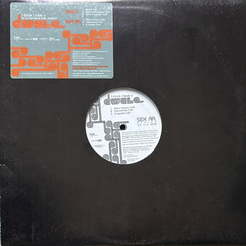 DWELE / I THINK I LOVE YOU (REMIX)