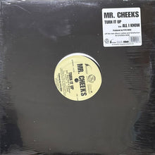 画像をギャラリービューアに読み込む, MR. CHEEKS / TURN IT UP/ALL I KNOW
