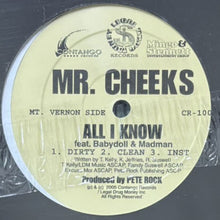 画像をギャラリービューアに読み込む, MR. CHEEKS / TURN IT UP/ALL I KNOW
