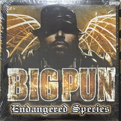 BIG PUN / ENDANGERED SPECIES – VINYL CHAMBER