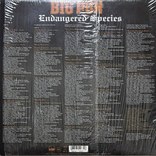 画像をギャラリービューアに読み込む, BIG PUN / ENDANGERED SPECIES
