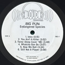 画像をギャラリービューアに読み込む, BIG PUN / ENDANGERED SPECIES
