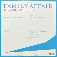 画像をギャラリービューアに読み込む, MARY J. BLIGE / FAMILY AFFAIR
