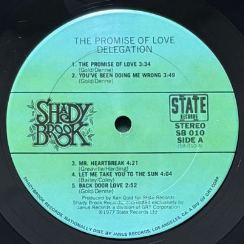DELEGATION /THE PROMISE OF LOVE レコード DELEGATION / THE PROMISE OF LOVE – VINYL CHAMBER