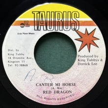 画像をギャラリービューアに読み込む, RED DRAGON / CANTER MI HORSE
