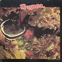 画像をギャラリービューアに読み込む, TROPEA / TROPEA

