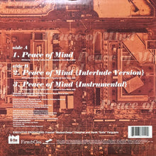 画像をギャラリービューアに読み込む, TALIB KWELI / PEACE OF MIND
