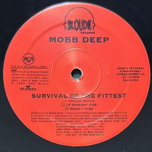 MOBB DEEP / SURVIVAL OF THE FITTEST – VINYL CHAMBER