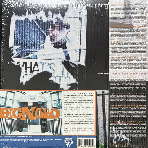 BIG NOYD / EPISODES OF A HUSTLA – VINYL CHAMBER