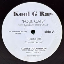 画像をギャラリービューアに読み込む, KOOL G RAP / FOUL CATS
