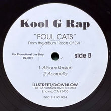 画像をギャラリービューアに読み込む, KOOL G RAP / FOUL CATS
