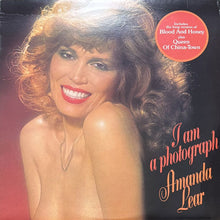 画像をギャラリービューアに読み込む, AMANDA LEAR / I AM A PHOTOGRAPH

