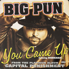 画像をギャラリービューアに読み込む, BIG PUNISHER / YOU CAME UP
