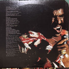 画像をギャラリービューアに読み込む, SYL JOHNSON / DIAMOND IN THE ROUGH
