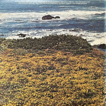 画像をギャラリービューアに読み込む, OCEAN / PUT YOUR HAND IN THE HAND

