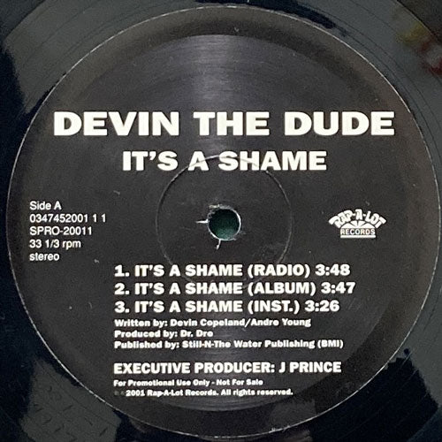 DEVIN THE DUDE / IT'S A SHAME/SOME OF THEM