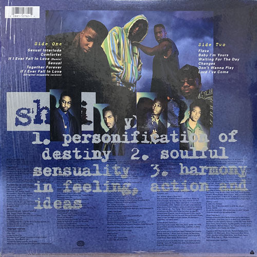 SHAI / IF I EVER FALL IN LOVE – VINYL CHAMBER