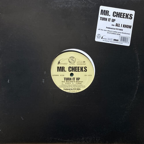 MR. CHEEKS / TURN IT UP/ALL I KNOW