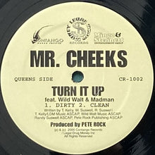 画像をギャラリービューアに読み込む, MR. CHEEKS / TURN IT UP/ALL I KNOW
